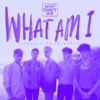 What Am I (Casualkimono Remix) - Single