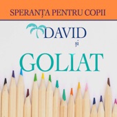 David și Goliat artwork