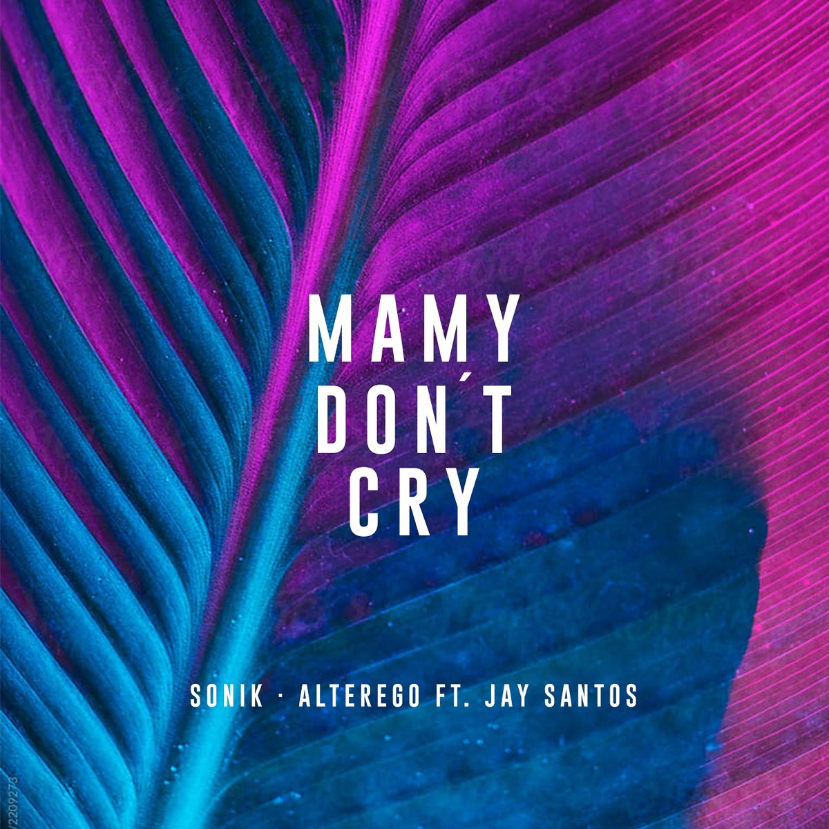 Don t cry feat. Jay Santos.