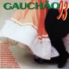 Gauchão 93, 1993