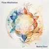 Flute Meditation album lyrics, reviews, download