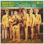 Broken Bottle, Broken Heart - The Country Side Of Harmonica Sam