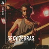 Sexy Zebras On Audiotree Live - EP