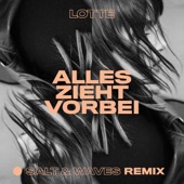 Alles zieht vorbei (Salt & Waves Remix) artwork