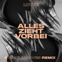 LOTTE - Alles zieht vorbei (Salt & Waves Remix) artwork