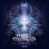 Photosynthesis - After Life
