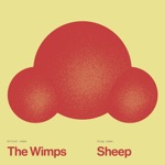 Sheep - Single