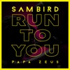 Run To You by Sam Bird iTunes Track 1