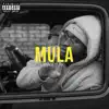 Mula (feat. JXY) - Single album lyrics, reviews, download