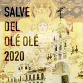 Salve del Olé Olé (feat. Cintia Merino, Las Soles, Melhaza, Frank Bravo, Las Carlotas, Rocío Orta, Brumas, Los del Guadalquivir, Andares, Los Sureños, Somos del Sur, Amigos de Gines, María de la Colina, Requiebros, Bordon 4, Jesús González, Alicia Fernánd artwork