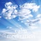 Quiet Mind - Sleep Sounds lyrics