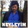 Neyleyim - Single