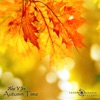 Alex V Ice - Autumn Time