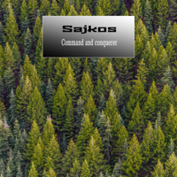 ℗ 2019 Sajkos