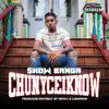 ChuNyceIKnow album lyrics, reviews, download