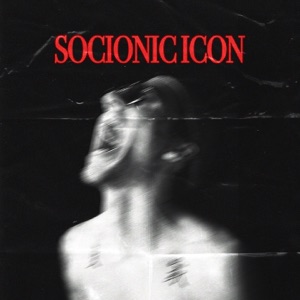 Socionic Icon - Single