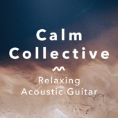 Relaxing Acoustic Guitar artwork
