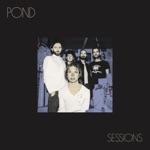 Pond - Don't Look At the Sun (Or You'll Go Blind) - Live