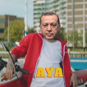 Aya (feat. R.T.E & Devlet Bahçeli) artwork