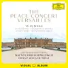 The Peace Concert Versailles (Visual Album / Live at Versailles / 2018) album lyrics, reviews, download