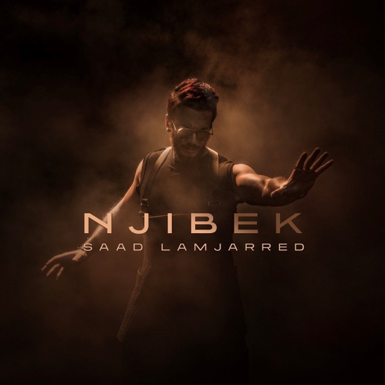 Cover artwork for Njibek