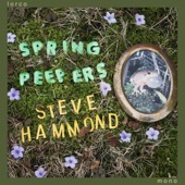Steve Hammond - There's a Hole