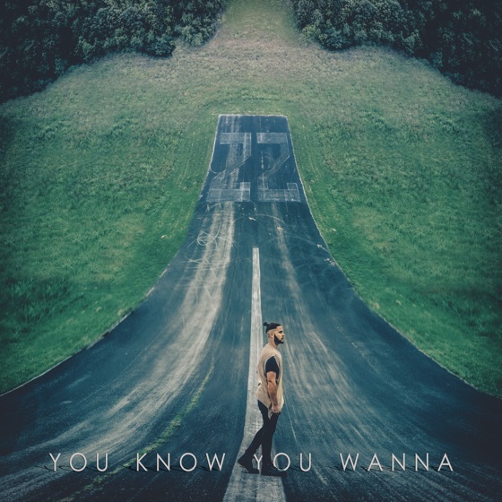 Cover artwork for You Know You Wanna
