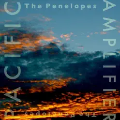 Pacific Amplifier - The Penelopes Pacific Amplifier - The Penelopes