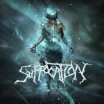Suffocation - The Warmth Within the Dark