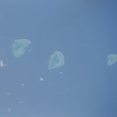 Celer - Coral Sea