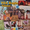 Via Regia - Det Er Ikke Sant