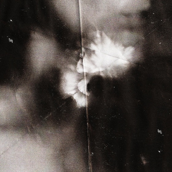 Cover artwork for Here Forever