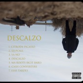 Descalzo artwork