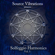 528 Hz Miracle - Source Vibrations