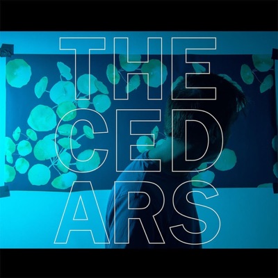 The Cedars - John Vanderslice