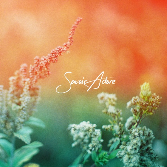 Cover artwork for When the Summer Ends