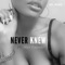 Never Knew (feat. Alex Teamer) - KD Rose lyrics