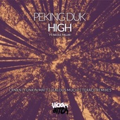 High (feat. Nicole Millar) [Funkin Matt Remix] artwork