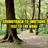 Soundtrack to Emotions Felt to the Bone artwork