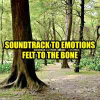The Speakers & Kunal Roy - Soundtrack to Emotions Felt to the Bone artwork
