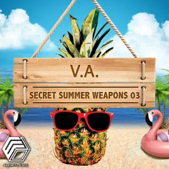 Secret Summer Weapons 03 by Various Artists album reviews, ratings, credits