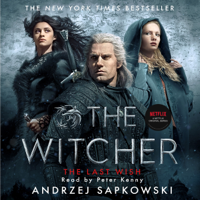 Andrzej Sapkowski - The Witcher: The Last Wish artwork