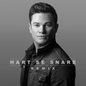 Hart Se Snare (Remix) artwork