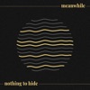 Meanwhile / Nothing to Hide - Single
