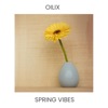 Spring Vibes - EP