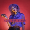 Cosy but Fresh (Electronic Edition 1)