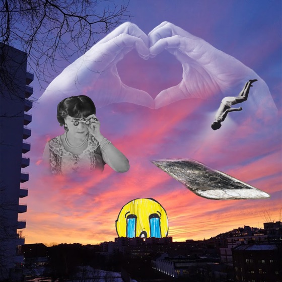 Cover artwork for Privatisteksamen