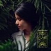 Florece - Single