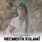 Behari Kurdewari - Necmedîn Xulamî lyrics