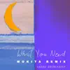 What You Need (Mokita Remix) [feat. Mokita] - Single album lyrics, reviews, download